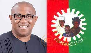 Ohanaeze warns of impending doom that’ll accompany attempt to deny Peter Obi of victory if he wins presidential election