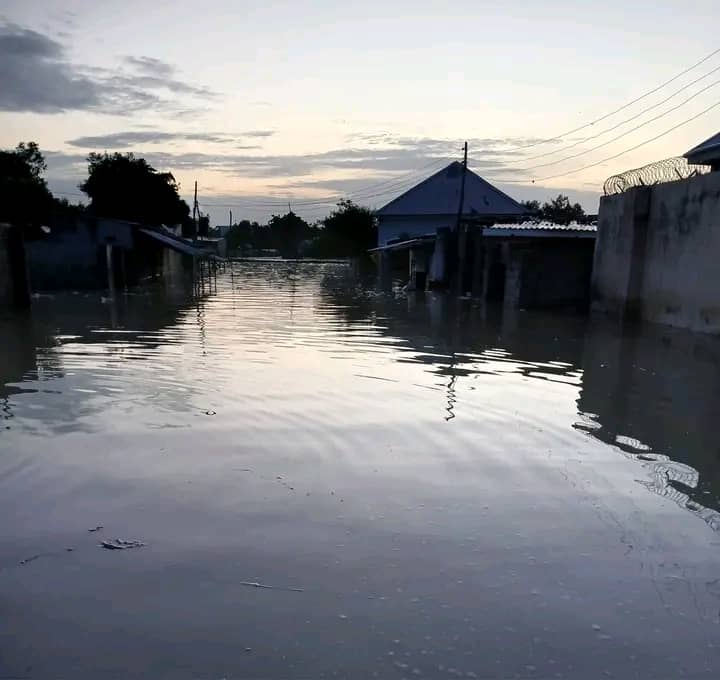 Flood overruns Shehu of Bornoโs palace, displaces residents