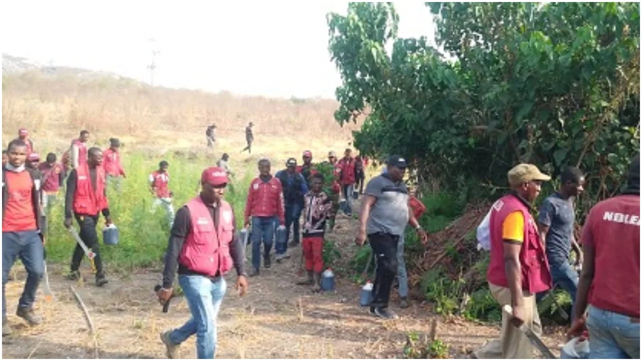 Terrorists, drug traffickers exchange drugs with arms in Sahel to destabilise West Africa -NDLEA