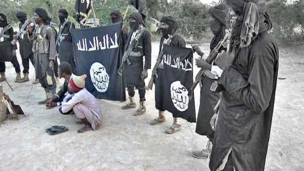 Boko Haram abducts 42 students, children in Borno school attack —Ndume